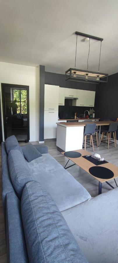 Appartement D'Hippolyte - Vue Musee Rimbaud Шарлевиль-Мезьер Экстерьер фото